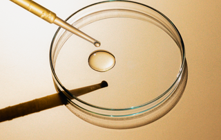 Lorem ipsum dolor sit amet